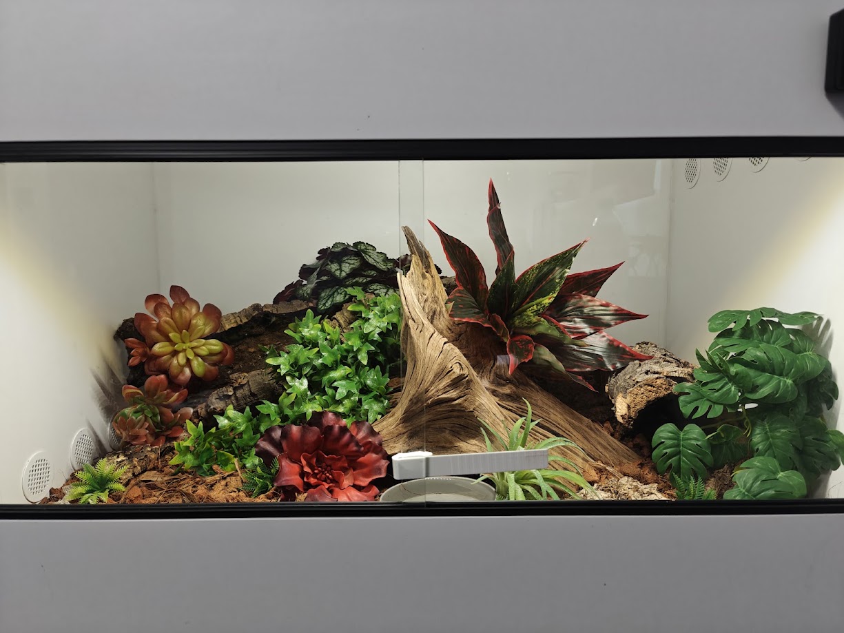 W pełni urządzone terrarium ze sztucznymi roślinami i kwiatami