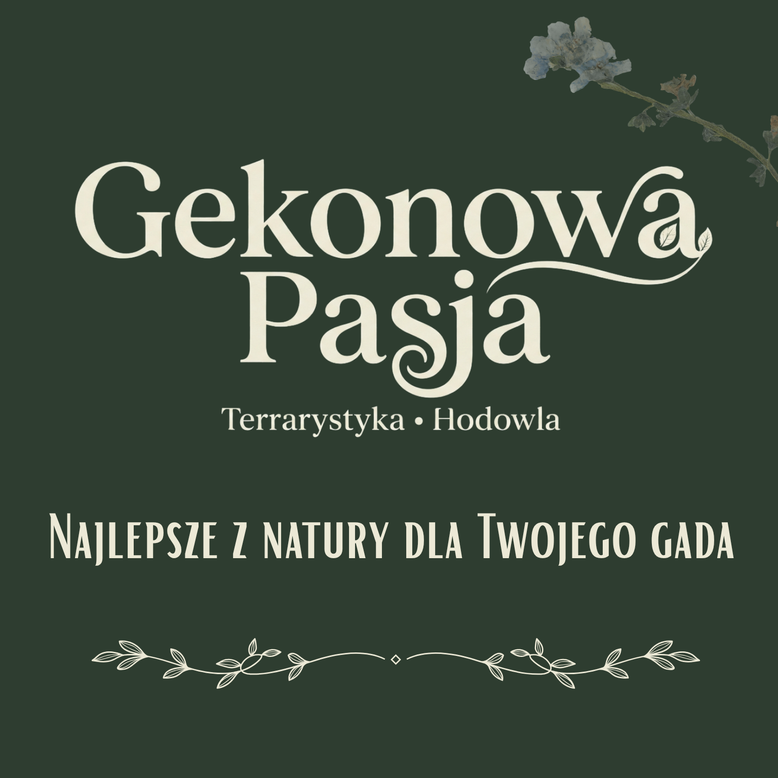 Gekonowa Pasja — Najlepsze z natury dla Twojego gada